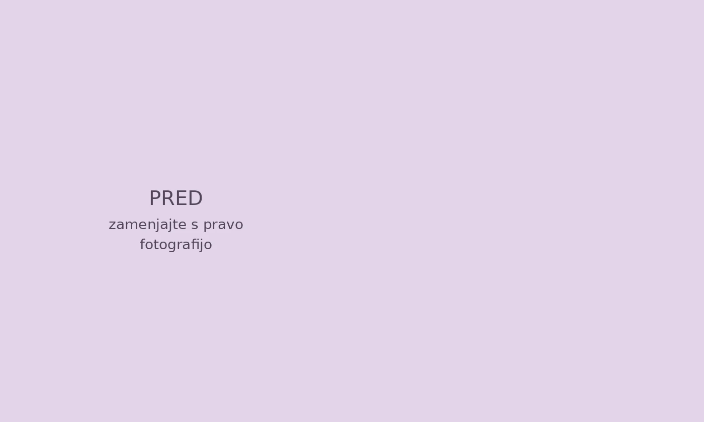 Pred posegom